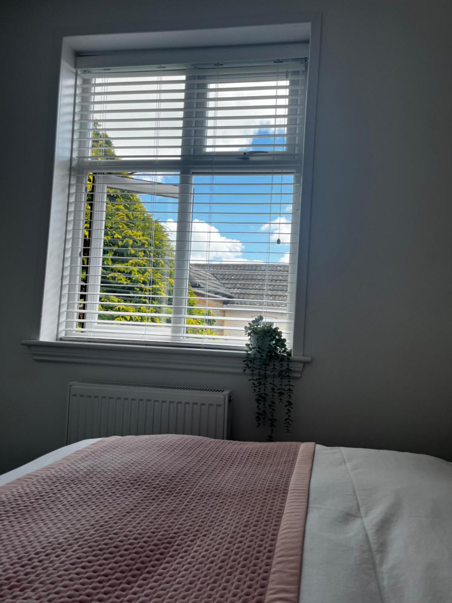 Newly Renovated 3 Bedroom Victorian Detached House Bournemouth Eksteriør billede